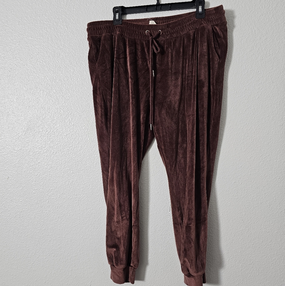 Velvet Jogger Pants in Rich Brown Sz XL